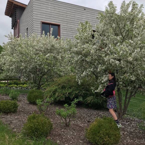 Meet your Posh ambassador, Lioness Den Resale - Picture 5 of 7